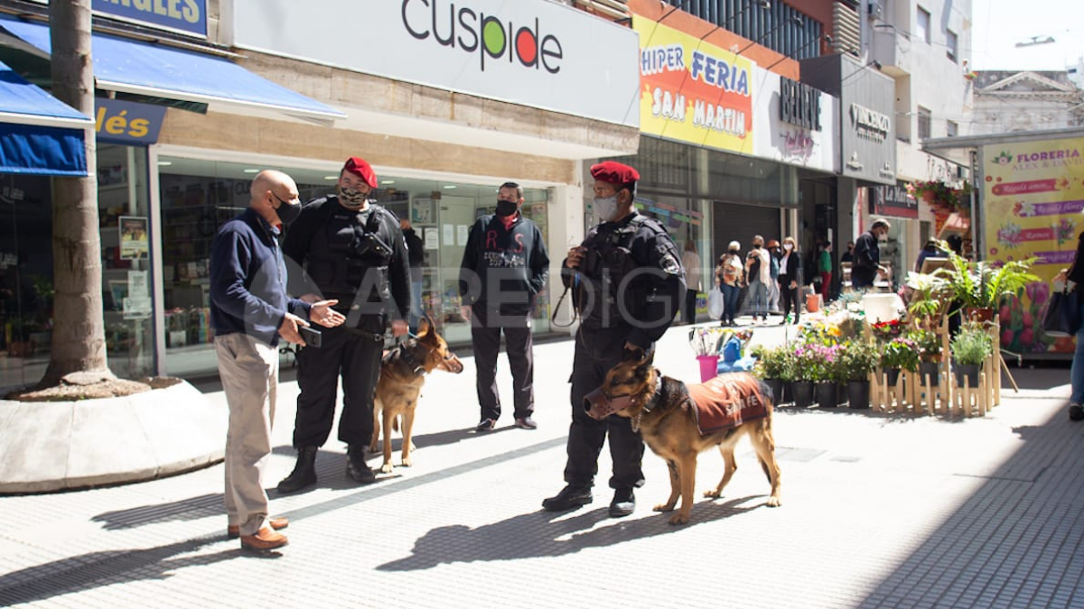 Policías de la Brigada canina