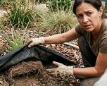 Según la experta, este material impide que los nutrientes lleguen al suelo y termina afectando el desarrollo de las especies. Según la experta, este material impide que los nutrientes lleguen al suelo y termina afectando el desarrollo de las especies.