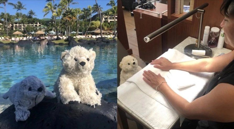 Un nene olvidó su peluche preferido en un hotel, se lo guardaron y lo fotografiaron disfrutando de las vacaciones