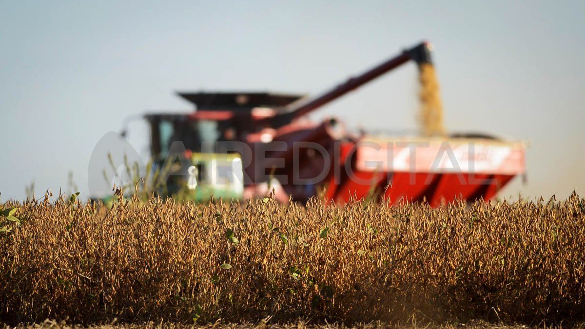 Al agro santafesino le cuesta sostener los niveles r&eacute;cord del 2021.