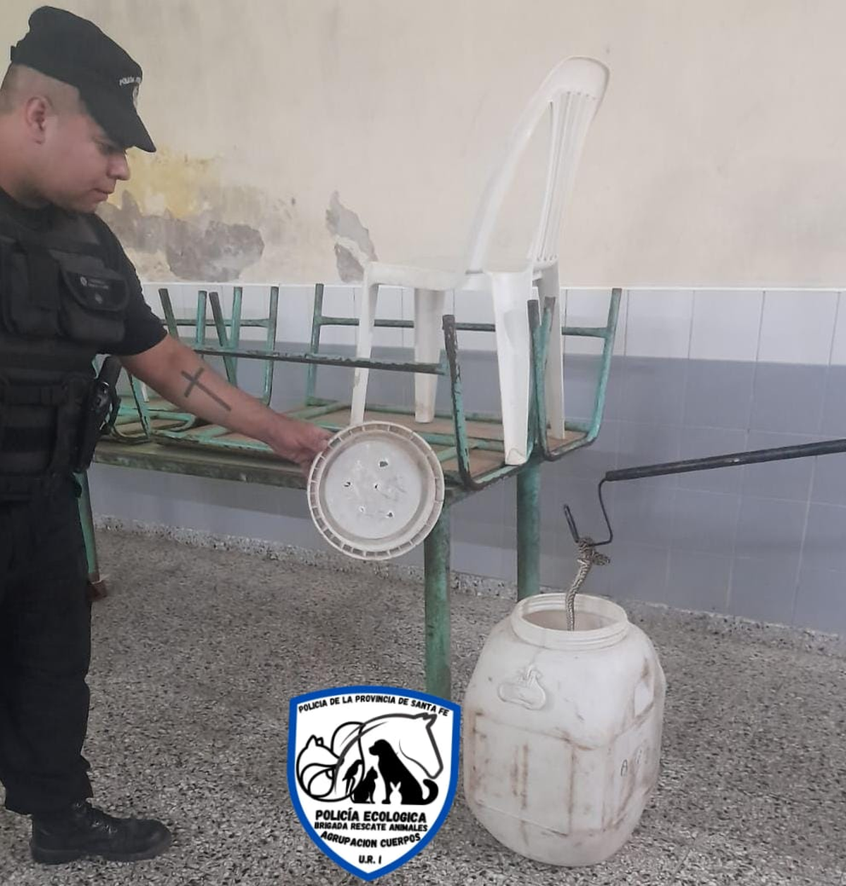 Encontraron una yarará en una escuela de Alto Verde. Encontraron una yarará en una escuela de Alto Verde.