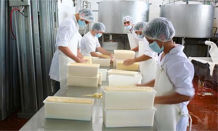 la lecheria argentina afianza su crecimiento mientras el mundo enfrenta un escenario mas incierto