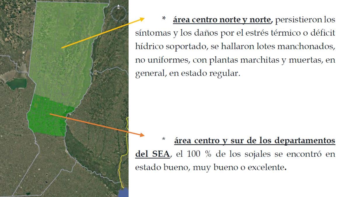 El elocuente mapa que incluyó el SEA en su reporte semanal. El elocuente mapa que incluyó el SEA en su reporte semanal.