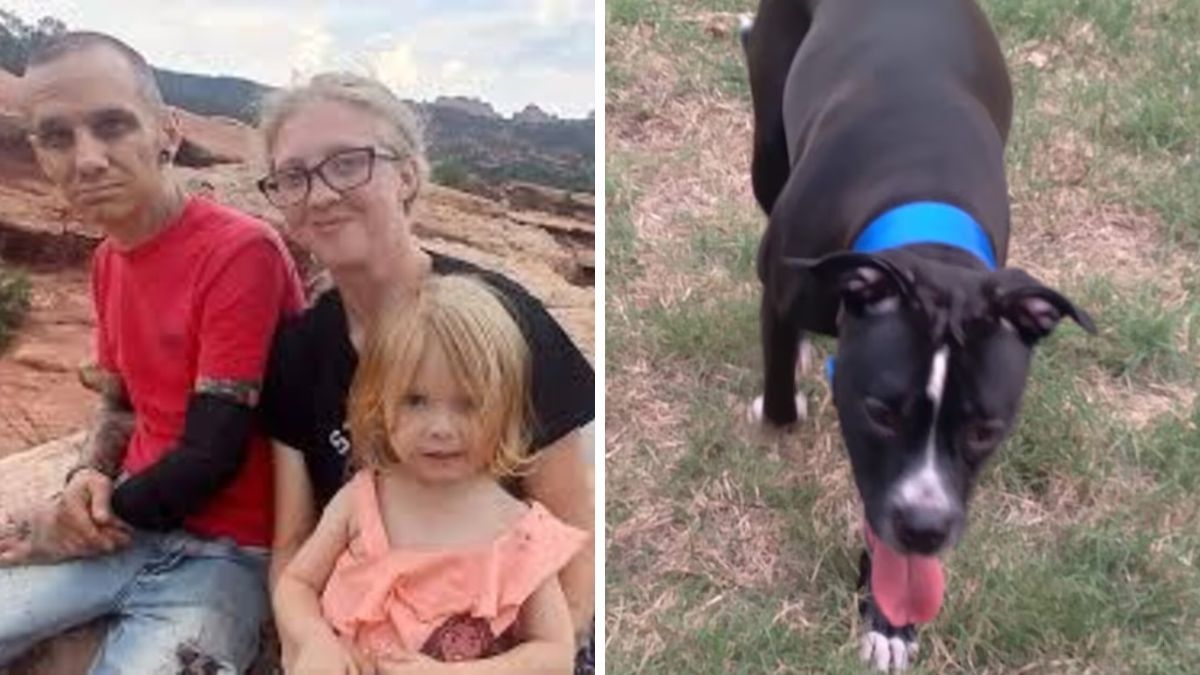 Una nena de 2 años murió al ser atacada por su pitbull.&nbsp;