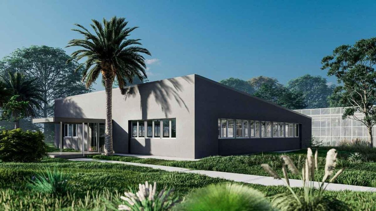 La superficie general de intervención de la obra abarca un total de 2.700 m2.