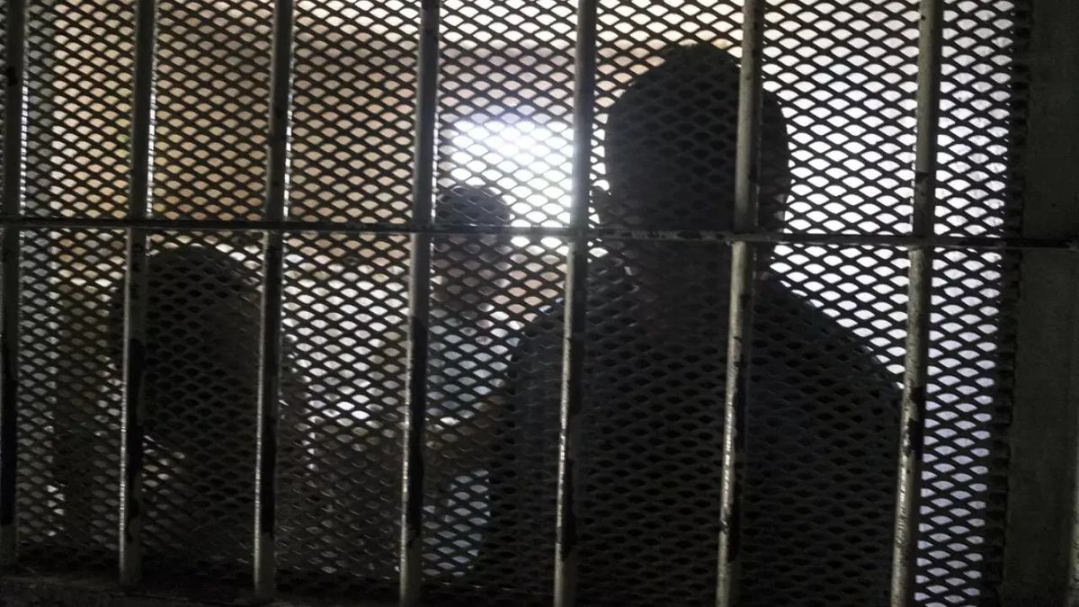 Imagen ilustrativa Imagen ilustrativa