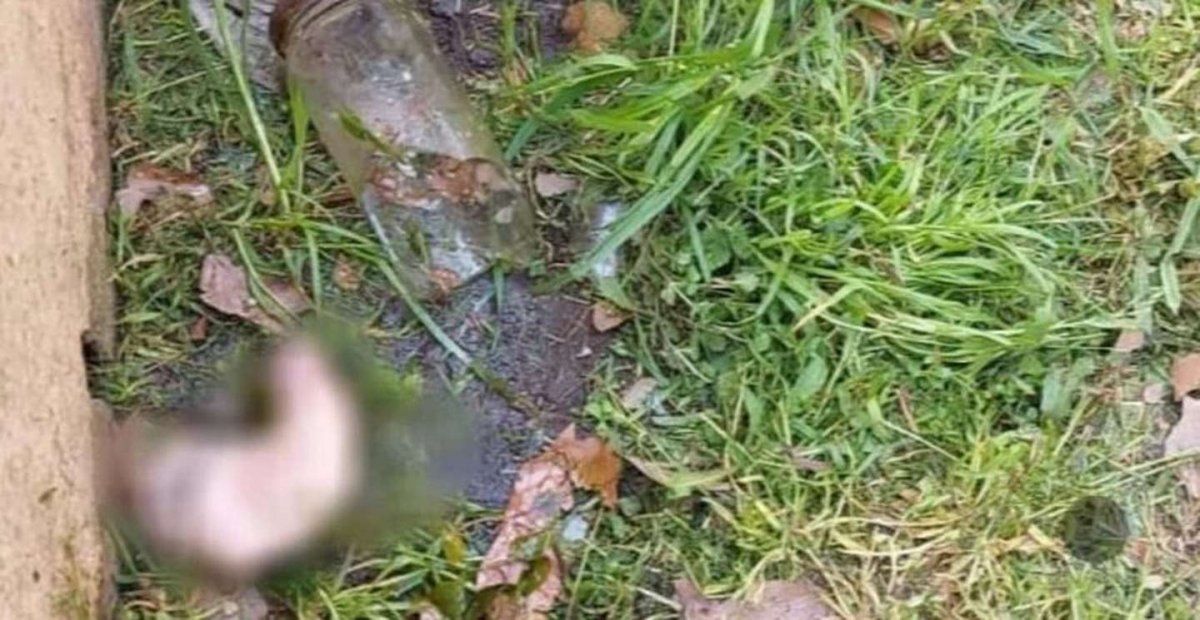 La Policía intenta determinar su origen y cómo llegó hasta allí.