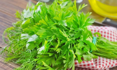 5 pasos para sembrar perejil en casa y darle sabor a tus recetas 5 pasos para sembrar perejil en casa y darle sabor a tus recetas