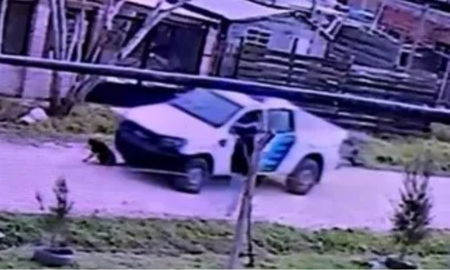 Un Policía de Buenos Aires atropelló a un perro y lo dejó herido sin ayudar al animal herido Un Policía de Buenos Aires atropelló a un perro y lo dejó herido sin ayudar al animal herido