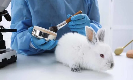 reino unido: empresas de cosmeticos podran hacer pruebas con animales por primera vez en 23 anos reino unido: empresas de cosmeticos podran hacer pruebas con animales por primera vez en 23 anos