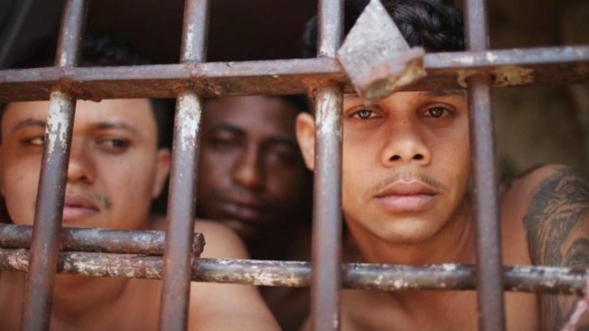 En Brasil se calcula que hay 40.000 detenidos que suscriben a PCC. En Brasil se calcula que hay 40.000 detenidos que suscriben a PCC.