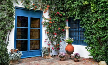 El calor intenso pone a prueba hasta las flores más resistentes del verano. El calor intenso pone a prueba hasta las flores más resistentes del verano.