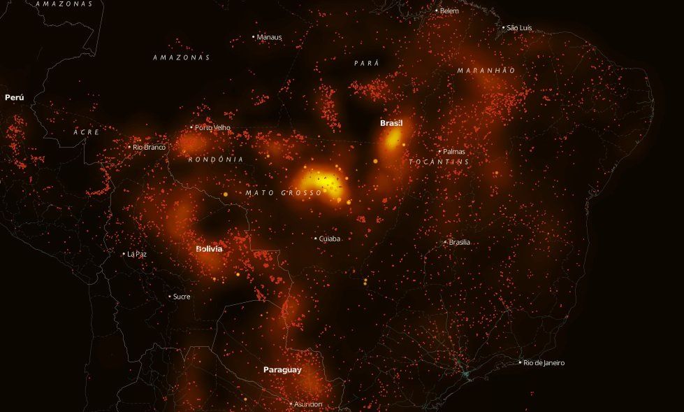 La selva de rodillas: los incendios en la Amazonía despiertan al mundo con un shock de realidad
