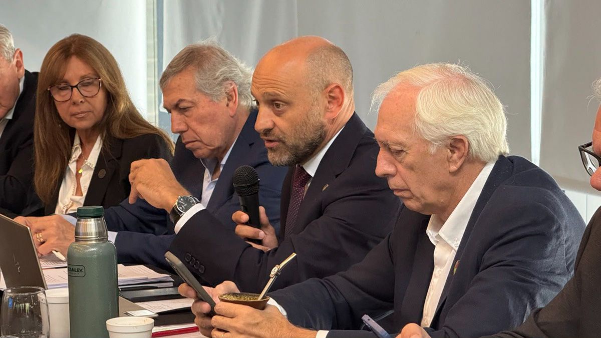 Gustavo Puccini, ministro de Desarrollo Productivo de Santa Fe, durante una reunión de la Región Centro.