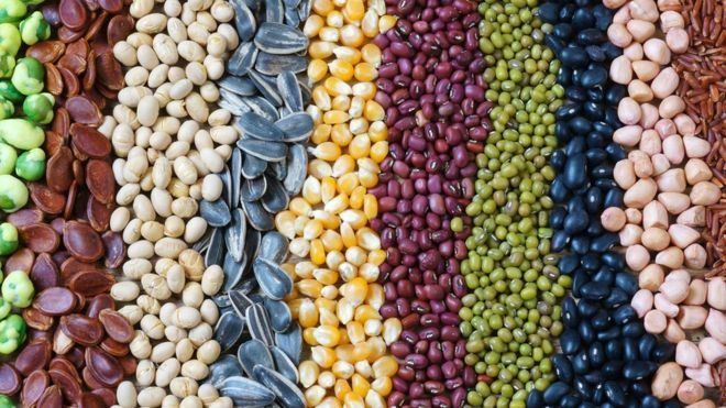 Dos alimentos claves para quemar grasa abdominal y perder peso