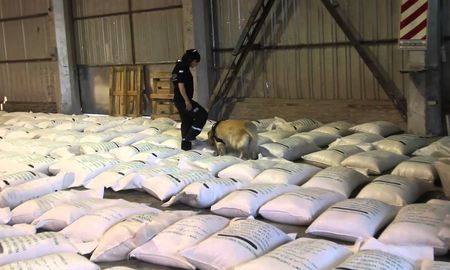 El material estupefaciente fue camuflado en bolsas con arroz. El material estupefaciente fue camuflado en bolsas con arroz.
