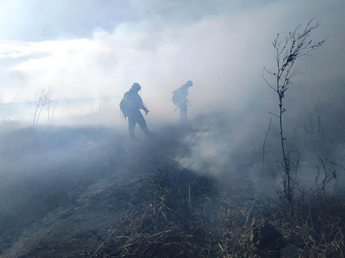 Brigadistas de Entre Ríos y Santa Fe combatían este martes los incendios en las islas del Paraná.
