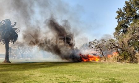 Las llamas se propagaron sobre un terreno pegado a las viviendas de la calle Eucaliptos. Las llamas se propagaron sobre un terreno pegado a las viviendas de la calle Eucaliptos.
