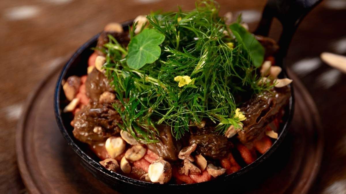 Provoleta asada con morillas, garrapiñada de avellanas y microgreens del jardín. Provoleta asada con morillas, garrapiñada de avellanas y microgreens del jardín.