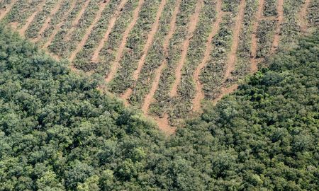 rechazo a visec: ¿que requisitos exige la certificacion que inquieta a los productores rurales? rechazo a visec: ¿que requisitos exige la certificacion que inquieta a los productores rurales?