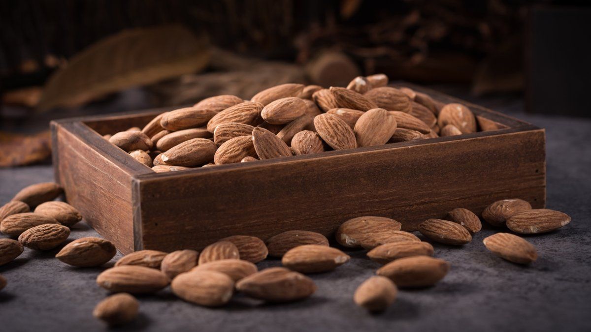 Las producción de almendras se focaliza en el Alto Valle de Río Negro