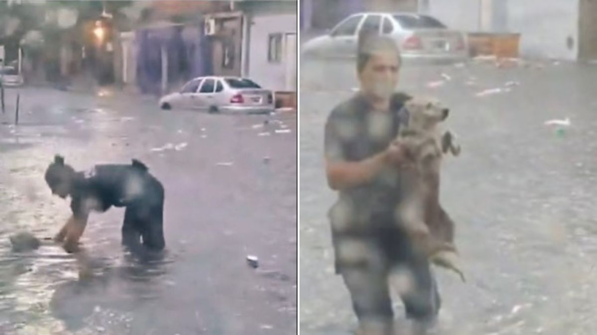 Una mujer policía se hizo viral tras rescatar a un perro que se estaba ahogando en Buenos Aires.