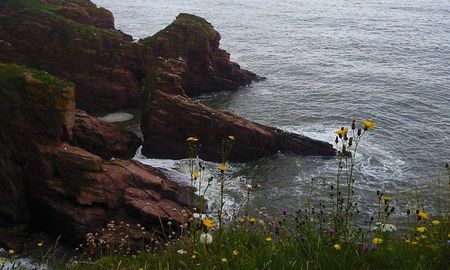 Los acantilados de Arbroath, Escocia Los acantilados de Arbroath, Escocia