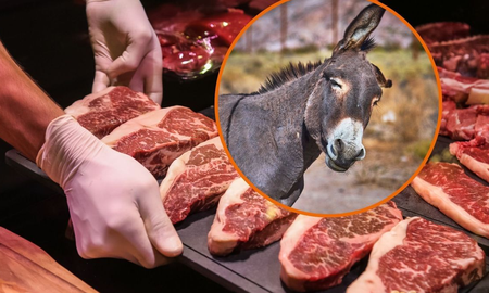 ¿se puede comer carne de burro?: un funcionario de ganaderia despejo todas las dudas ¿se puede comer carne de burro?: un funcionario de ganaderia despejo todas las dudas