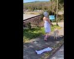 viral: en plena cuarenta se disfraza y saca a pasear a su perro viral: en plena cuarenta se disfraza y saca a pasear a su perro