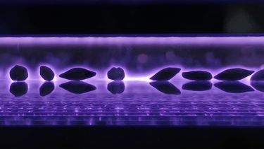 Plasma no térmico: una tecnología nacida en el Conicet que busca cambiar el tratamiento de semillas Plasma no térmico: una tecnología nacida en el Conicet que busca cambiar el tratamiento de semillas