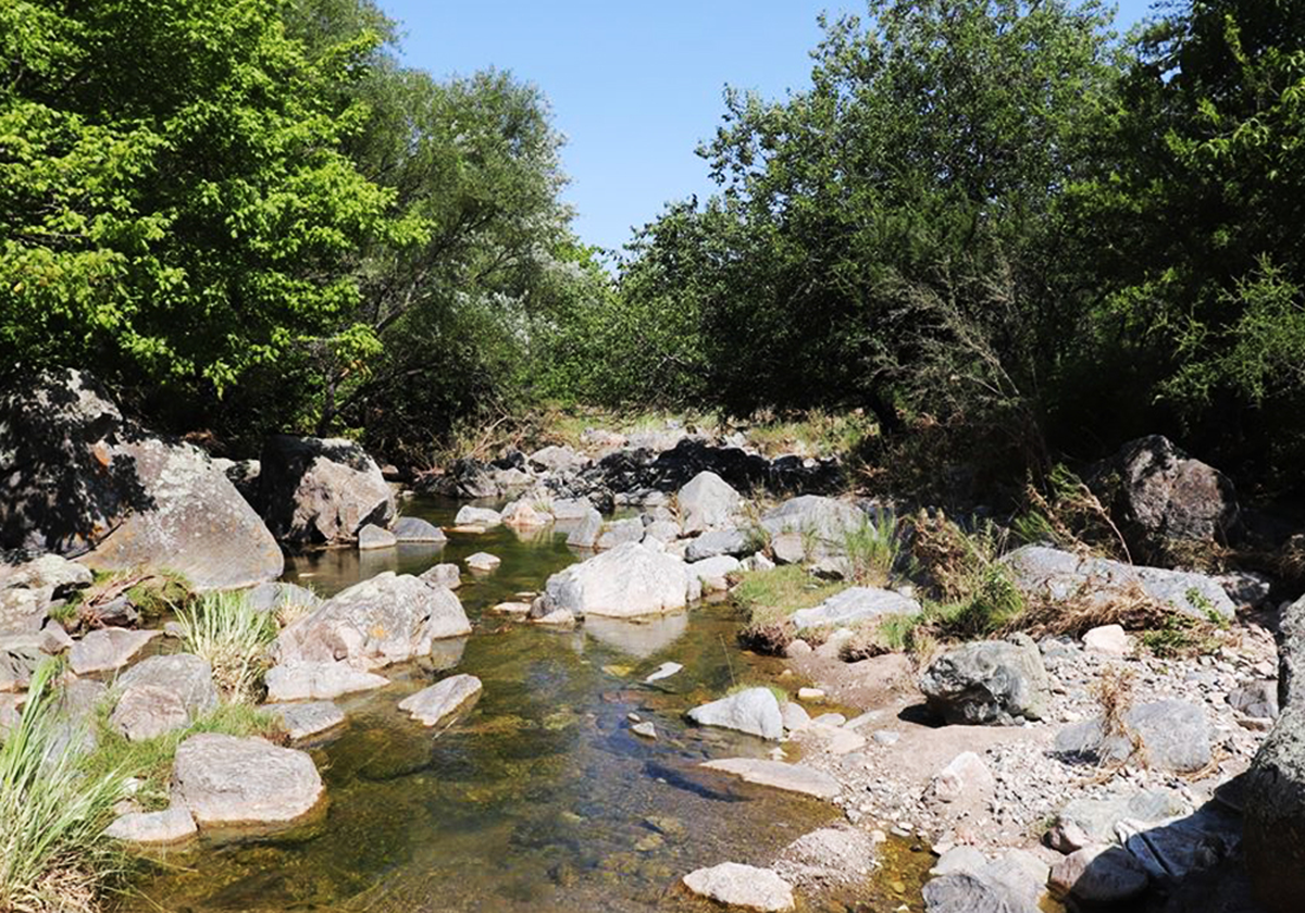 Los mejores 5 cafeterías de La Falda