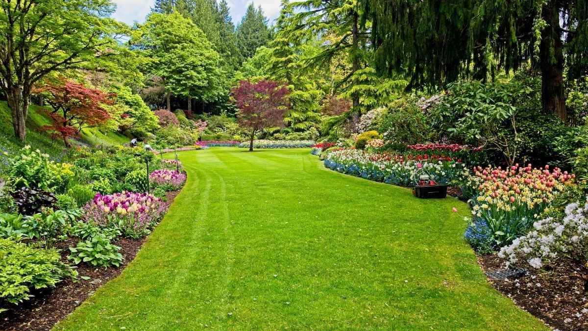 Cuidar las plantas en verano exige ajustar riego, sombra y sustrato para evitar el estr&eacute;s por calor y la deshidrataci&oacute;n.