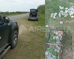 La policía interceptó a tres hombres de 35, 54 y 60 años junto a un automóvil con jaulas cubierta de pichones de loros La policía interceptó a tres hombres de 35, 54 y 60 años junto a un automóvil con jaulas cubierta de pichones de loros