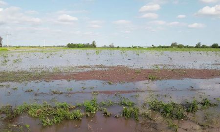 con creditos para productores, se declaro la emergencia agropecuaria en el norte provincial con creditos para productores, se declaro la emergencia agropecuaria en el norte provincial