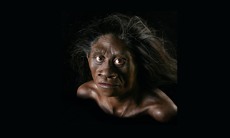 La misteriosa especie humana de los hobbits podría seguir viva, según un experto La misteriosa especie humana de los hobbits podría seguir viva, según un experto
