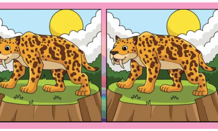 RETO VISUAL nivel PRO: solo el 2% encontró las 3 diferencias ¡en 5 segundos! RETO VISUAL nivel PRO: solo el 2% encontró las 3 diferencias ¡en 5 segundos!