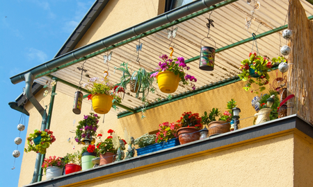 Estas cinco plantas son ideales para balcones donde no hay lugar para muchas macetas. Estas cinco plantas son ideales para balcones donde no hay lugar para muchas macetas.