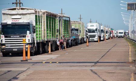 Este lunes comenzaron las medidas de protestas de los camioneros nucleados en la Federación Entrerriana de Transportistas de Carga (Fetac) y representantes de transportistas autoconvocados, en reclamo de las últimas resoluciones de la Comisión Nacional de Regulación de Transporte que pide la homologación de carrocerías, enganches y tanques de combustible, entre otros puntos. Este lunes comenzaron las medidas de protestas de los camioneros nucleados en la Federación Entrerriana de Transportistas de Carga (Fetac) y representantes de transportistas autoconvocados, en reclamo de las últimas resoluciones de la Comisión Nacional de Regulación de Transporte que pide la homologación de carrocerías, enganches y tanques de combustible, entre otros puntos.
