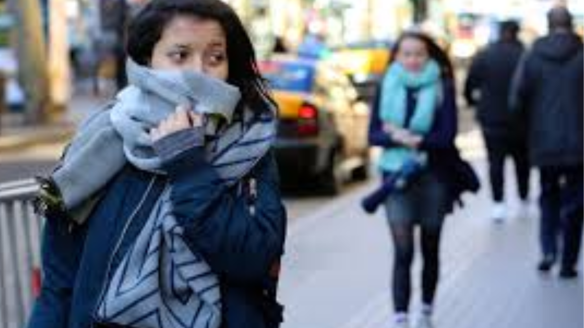 Vegetales de color naranja como el zapallo y la zanahoria contienen betacarotenos que el cuerpo transforma en vitamina A