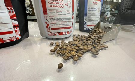 Desde el sector advierten que pueden pasar dos, tres, cuatro meses hasta que esto se resuelva. Desde el sector advierten que pueden pasar dos, tres, cuatro meses hasta que esto se resuelva.