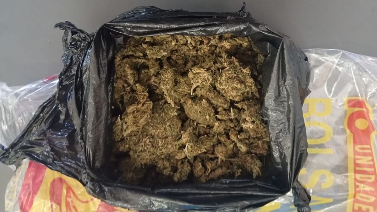 La Corte Suprema de Justicia revocó la absolución de una mujer que había llevado drogas a la alcaidía donde estaba detenido su hijo.