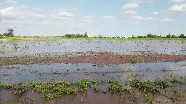 Con créditos para productores, se declaró la emergencia agropecuaria en el norte provincial