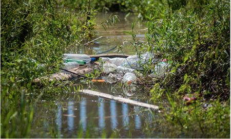¿Se puede limpiar una laguna? Aportes de la ciencia ante el drama de la contaminación por plásticos. ¿Se puede limpiar una laguna? Aportes de la ciencia ante el drama de la contaminación por plásticos.