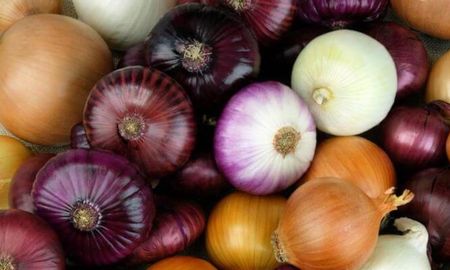 alimentos que fortalecen los pulmones durante todo el ano alimentos que fortalecen los pulmones durante todo el ano