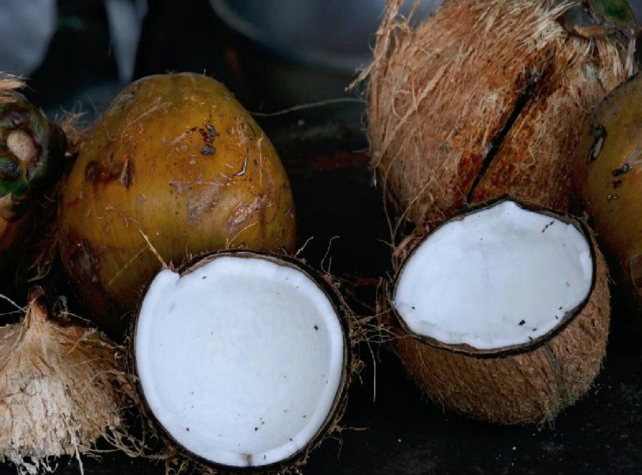 Cómo hacer aceite de coco en casa y aprovechar sus amplios beneficios