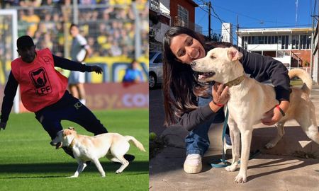 La increíble historia de COCO, el perro que interrumpió el partido de Rosario Central La increíble historia de COCO, el perro que interrumpió el partido de Rosario Central