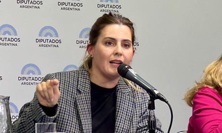 Lionella Cattalini, diputada socialista. Lionella Cattalini, diputada socialista.