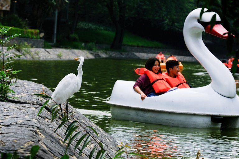 (Foto: Graciela López/Cuartoscuro)