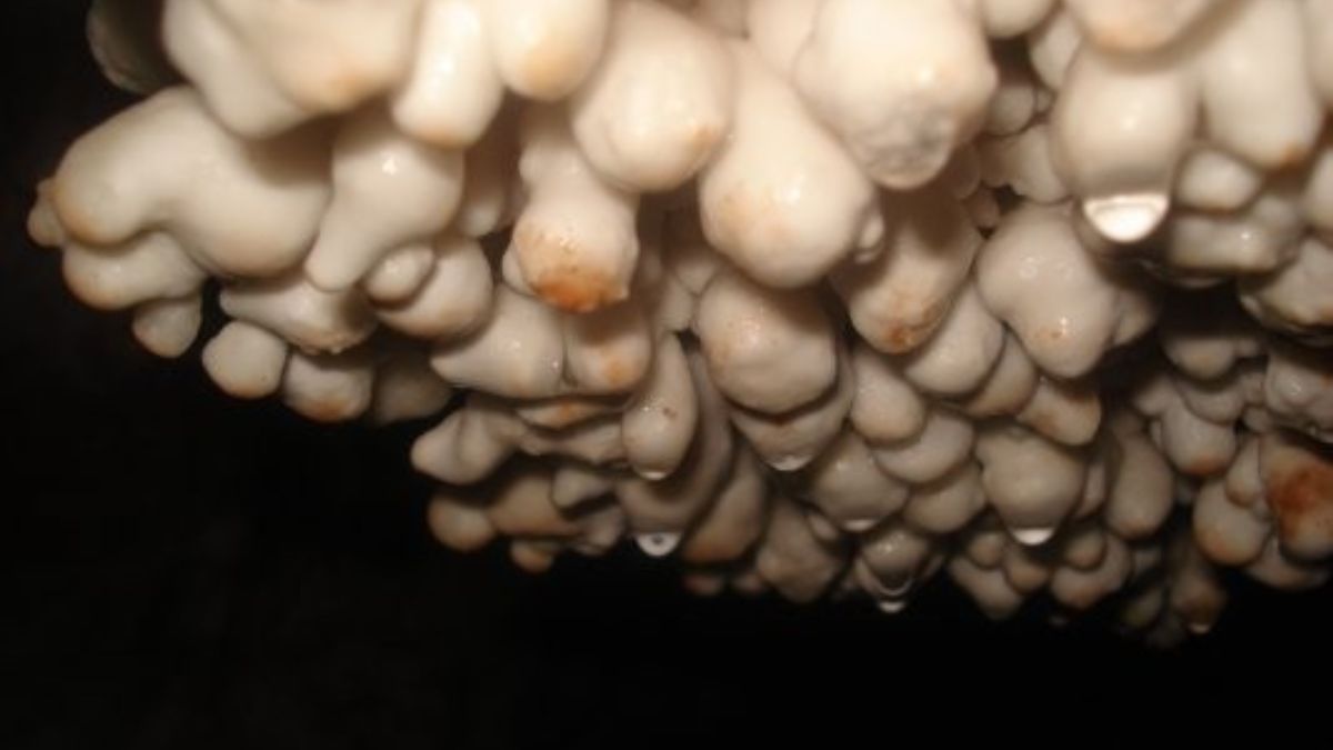 Caverna El Sauce, el destino perfecto para una aventura en familia. Caverna El Sauce, el destino perfecto para una aventura en familia.