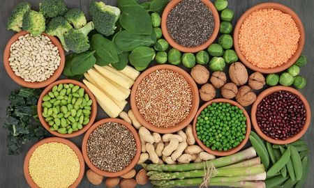 que alimentos podemos consumir para incorporar proteina vegetal que alimentos podemos consumir para incorporar proteina vegetal